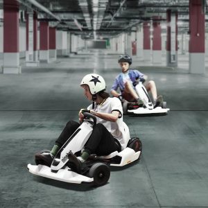 Self Balancing Electric Go Kart