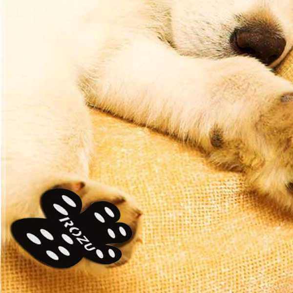 Paw Protection for Dogs