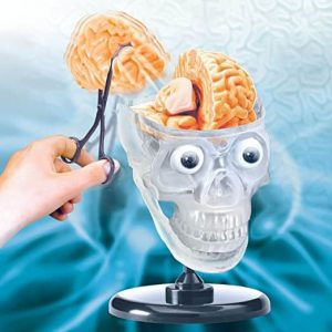 Science Toy for Kids