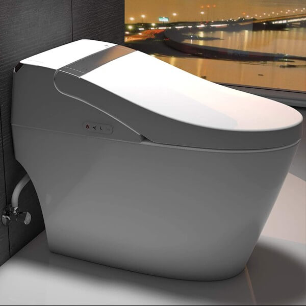 Elongated Toilet Seat, Dual Flush Toilet