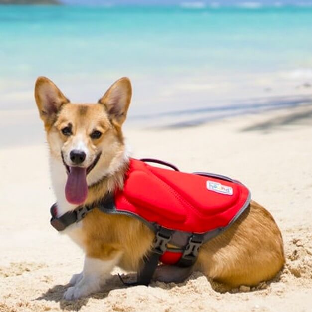 Best Dog Life Jacket by Outward Hound with Dual Grab Handle