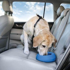 Portable No Spill Dog Bowl
