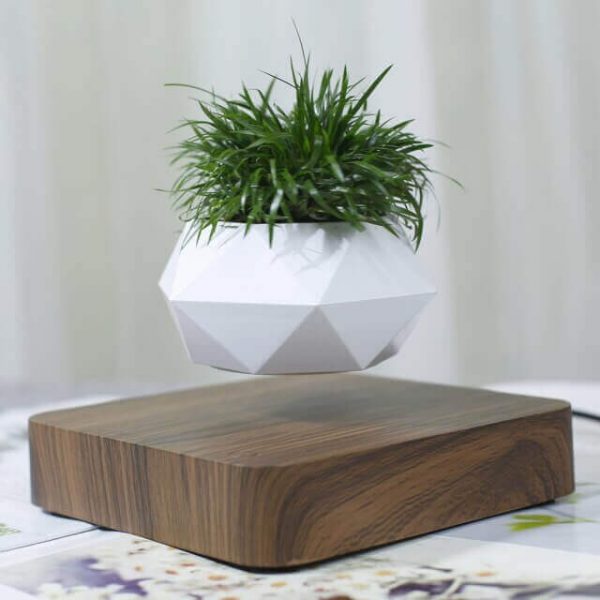 Levitating Air Bonsai Pot